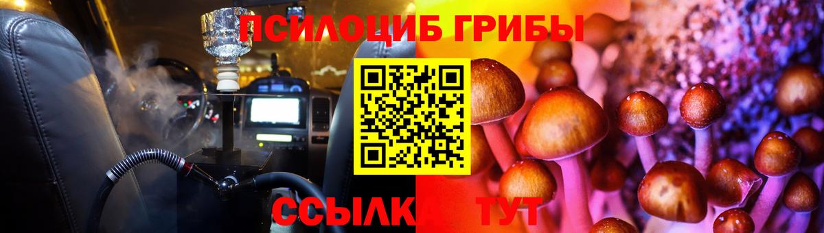 Галлюциногенные грибы Psilocybe Карпинск